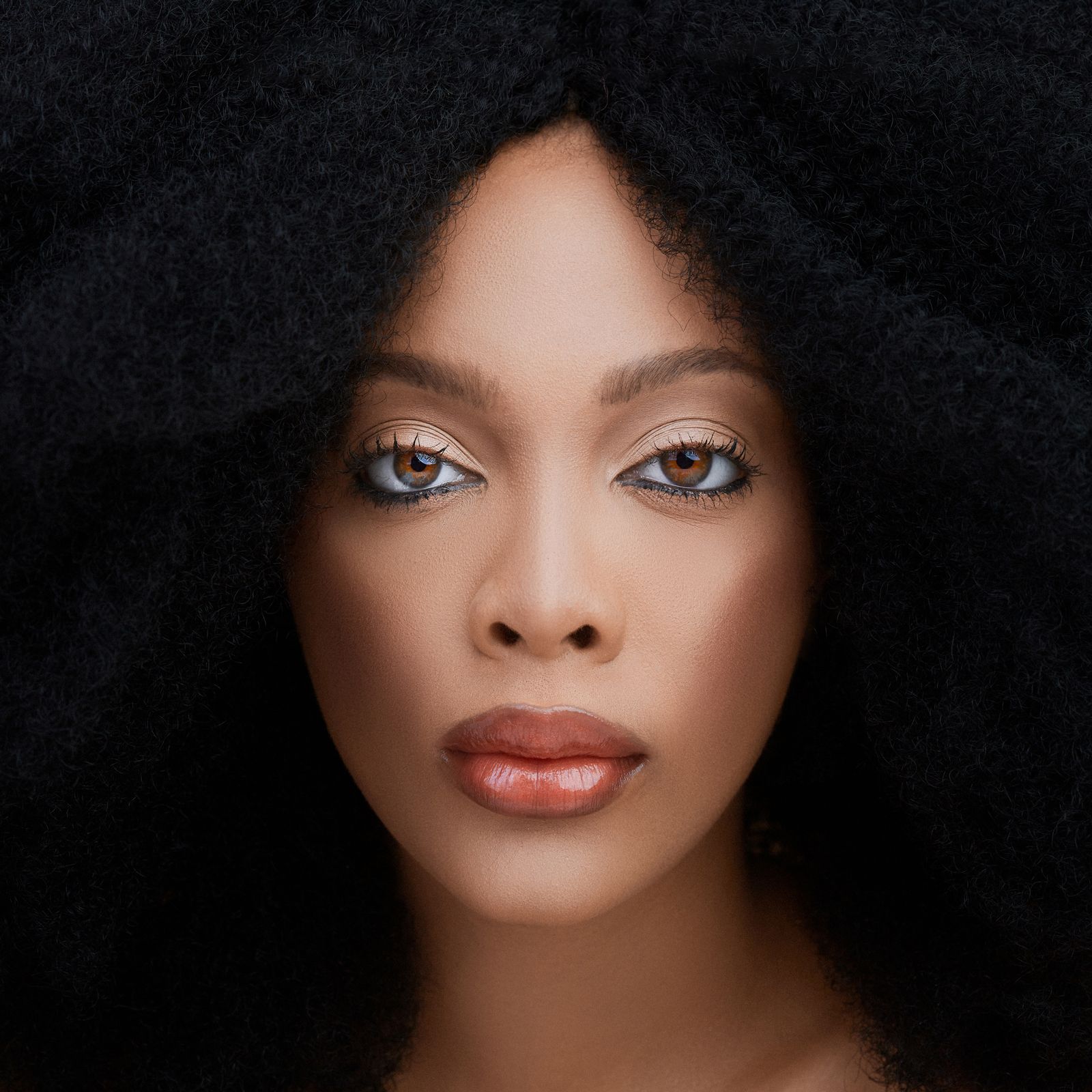 Elegant beauty portrait